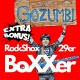 Amortyzatory Rock Shox Boxxer Charger 3 | 29er | 2025