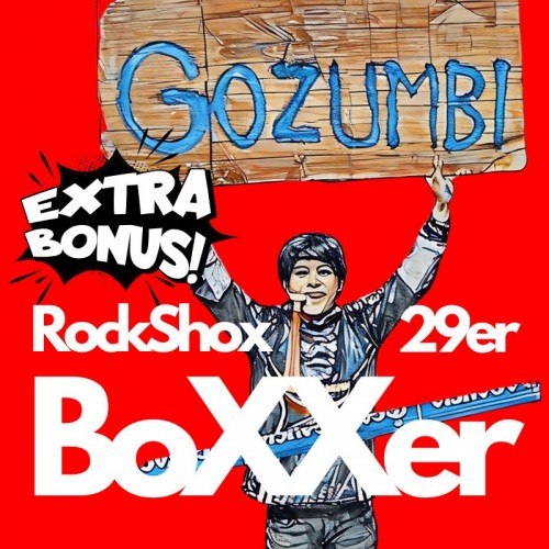 Amortyzatory Rock Shox Boxxer Charger 3 | 29er | 2025