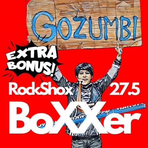 Amortyzatory Rock Shox Boxxer 2024 | 27.5