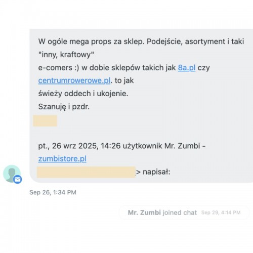 Inny, kraftowy e-commerce - opinia o Zumbi Store | 4129